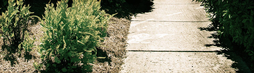 呼死你在线使用